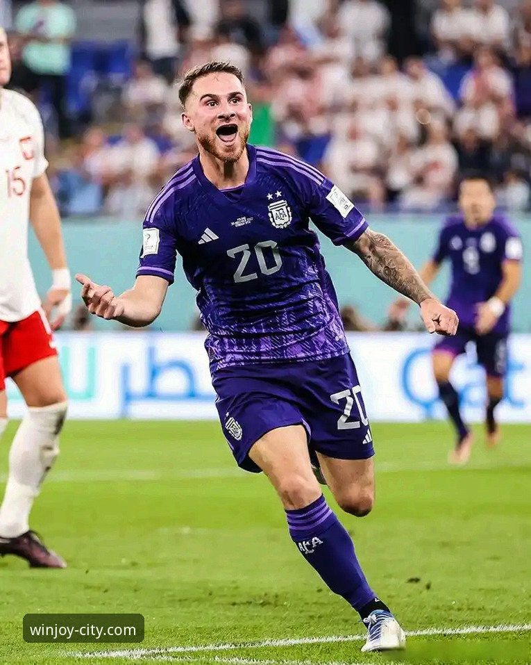 捷克晋级世界杯 vs 万象城体育投注体验：两场关键“胜利”的全面对比